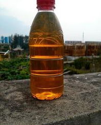 船用燃料油供應信息與價格指南